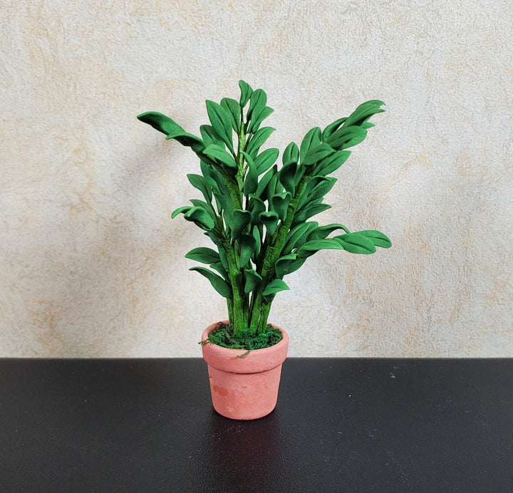 Dollhouse Potted Small Leaf Palm in a Terra Cotta Pot 1:12 Scale Miniature - MiniatureCrush