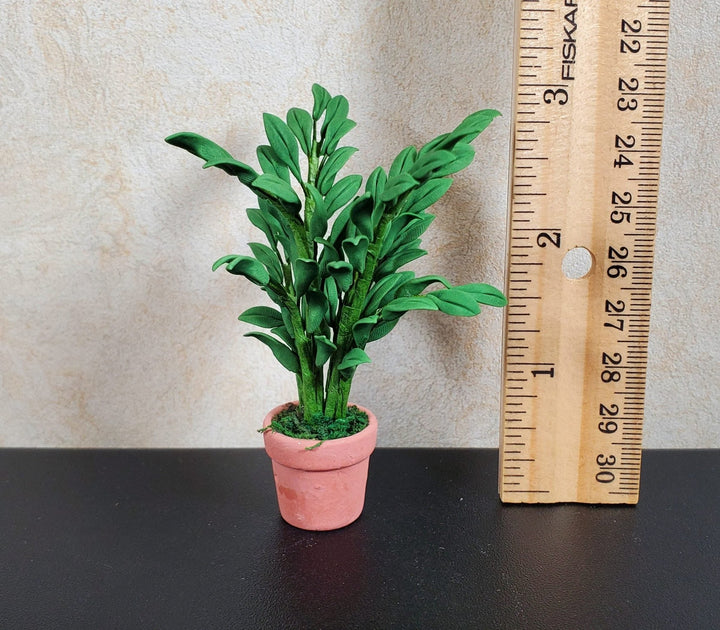 Dollhouse Potted Small Leaf Palm in a Terra Cotta Pot 1:12 Scale Miniature - MiniatureCrush