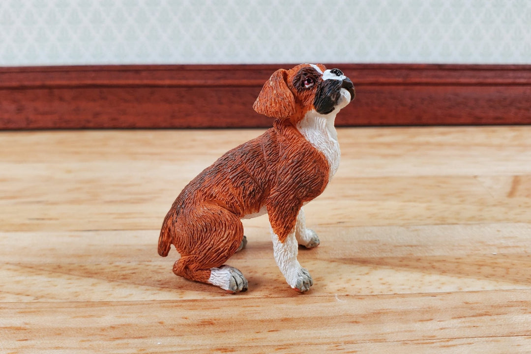 Dollhouse Puppy Dog Box Sitting Pet 1:12 Scale Miniature Animal - Miniature Crush