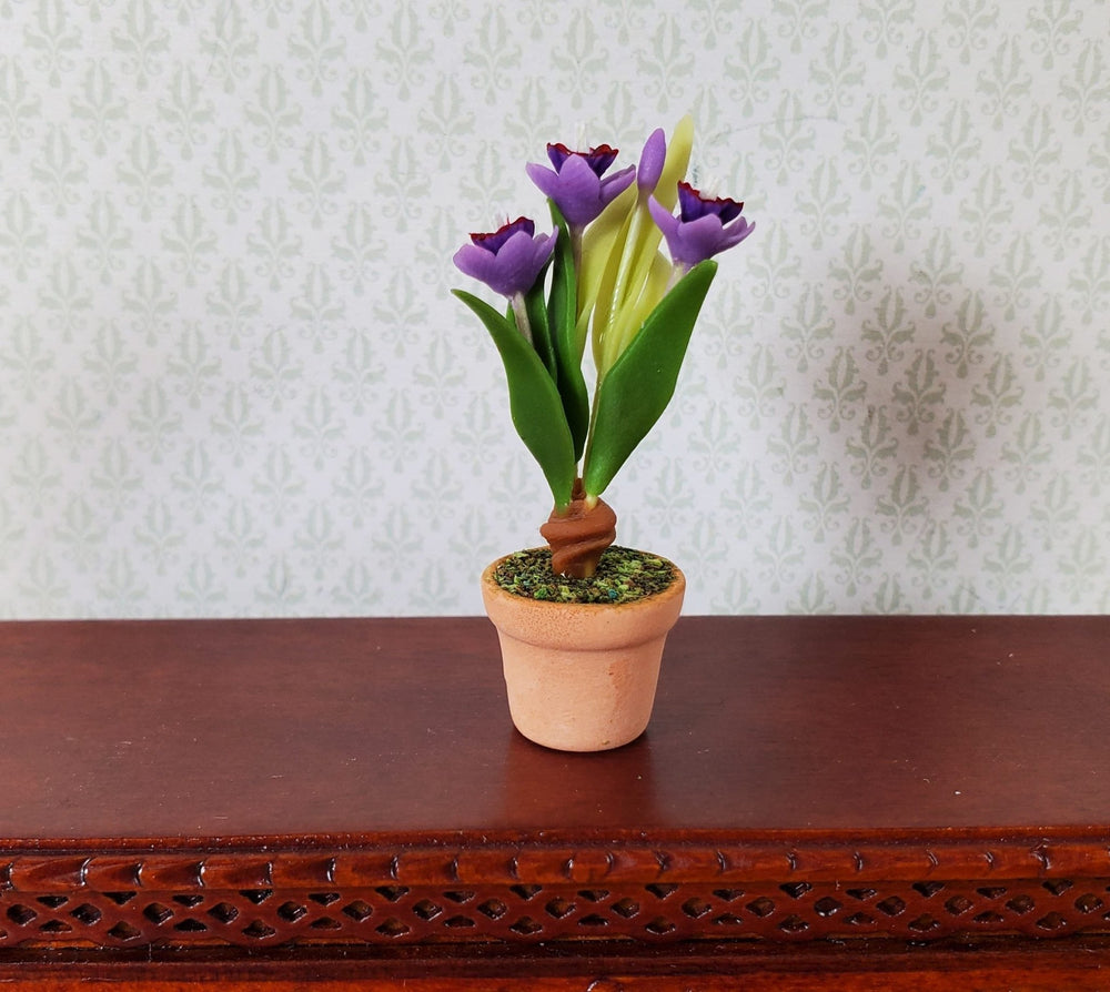 Dollhouse Purple Crocus Plant in a Terra Cotta Pot 1:12 Scale Miniature Plant - MiniatureCrush