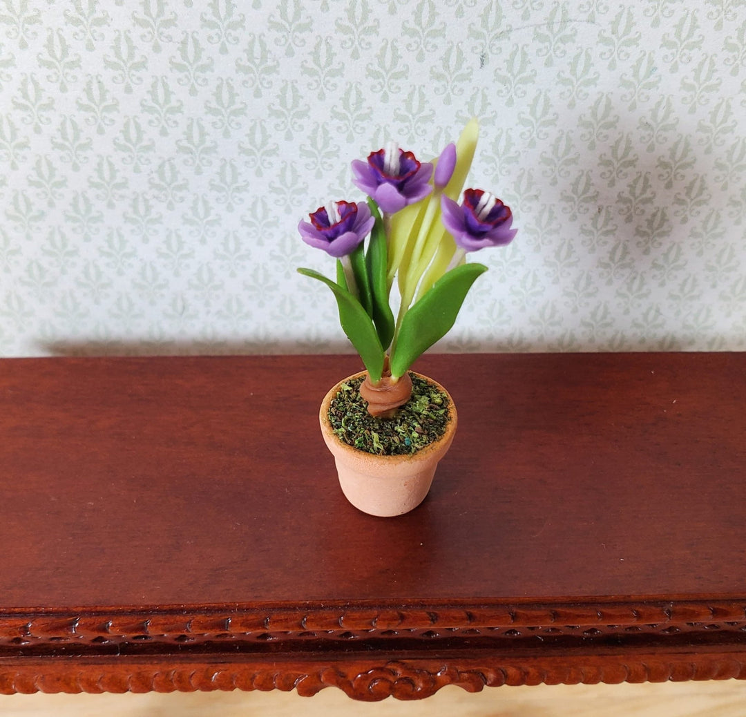 Dollhouse Purple Crocus Plant in a Terra Cotta Pot 1:12 Scale Miniature Plant - MiniatureCrush