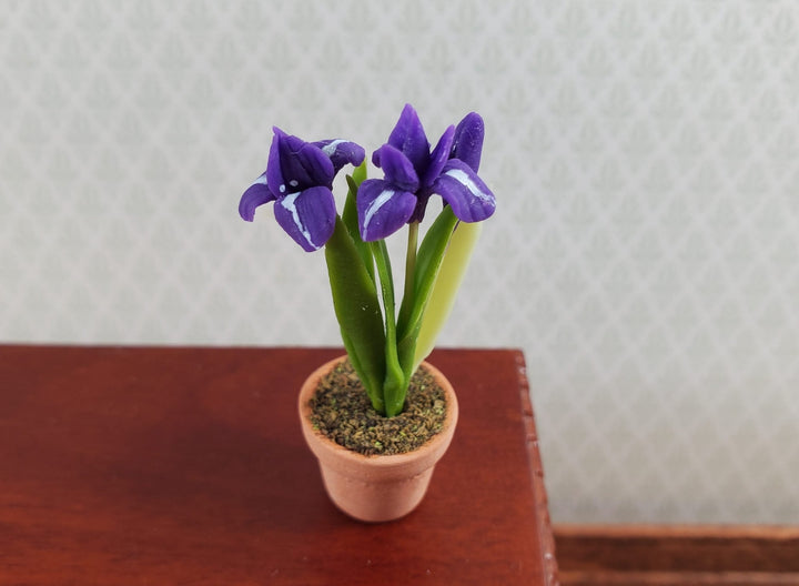 Dollhouse Purple Irises Plant in Terra Cotta Planter 1:12 Scale Miniature Garden - Miniature Crush