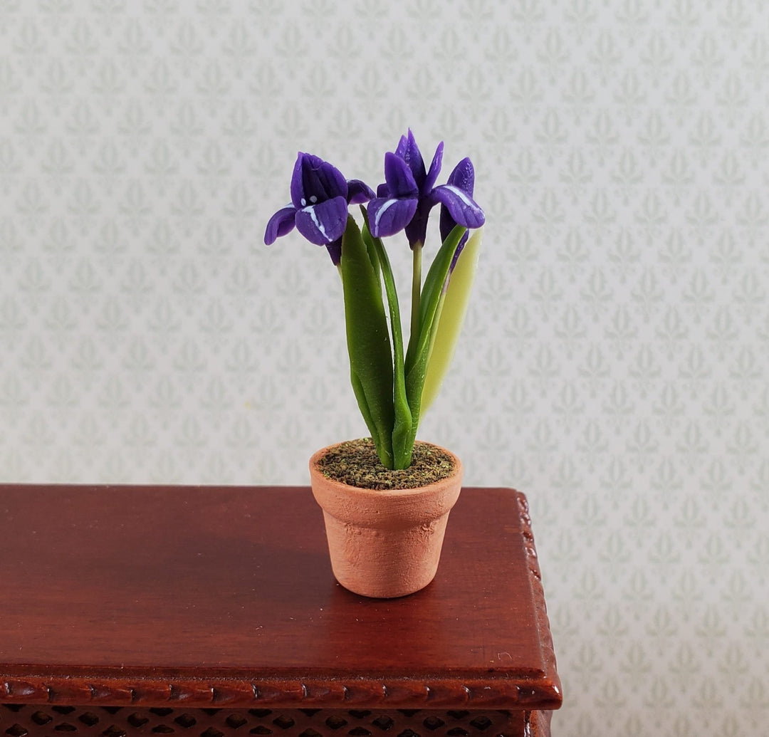 Dollhouse Purple Irises Plant in Terra Cotta Planter 1:12 Scale Miniature Garden - Miniature Crush