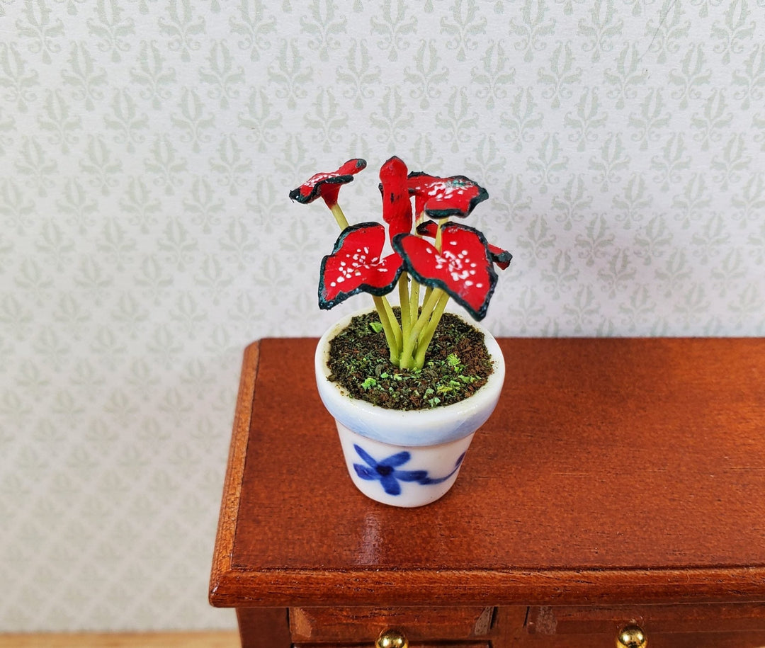 Dollhouse Red Caladium Plant in a Blue & White Ceramic 1:12 Scale Miniature - MiniatureCrush