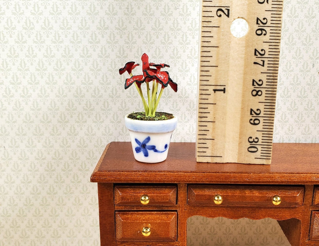 Dollhouse Red Caladium Plant in a Blue & White Ceramic 1:12 Scale Miniature - MiniatureCrush