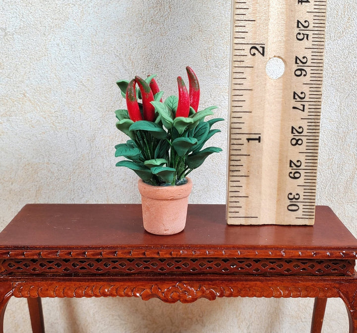 Dollhouse Red Chili Plant in a Terra Cotta Pot 1:12 Scale Miniature Houseplant - MiniatureCrush