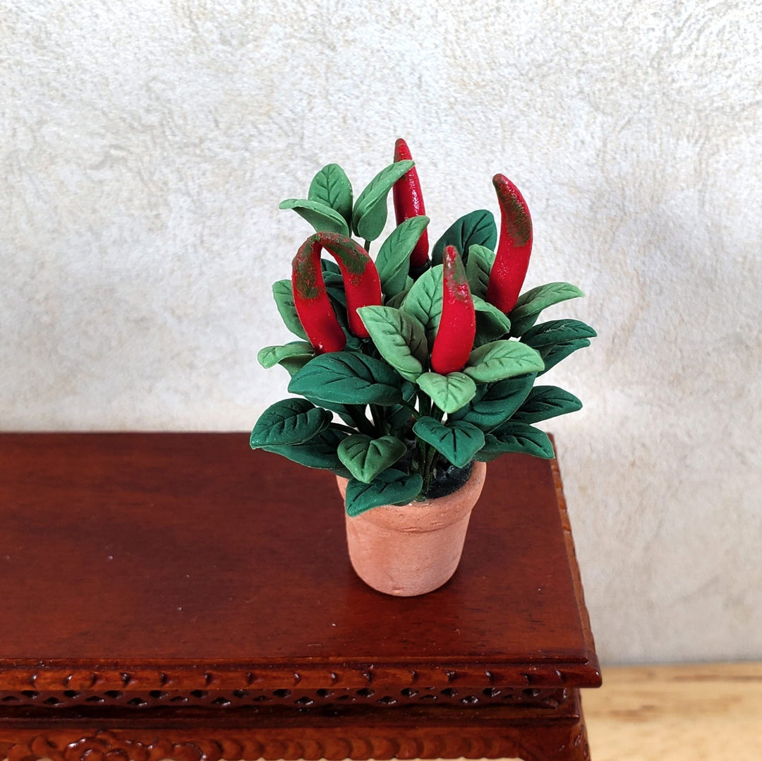 Dollhouse Red Chili Plant in a Terra Cotta Pot 1:12 Scale Miniature Houseplant - MiniatureCrush