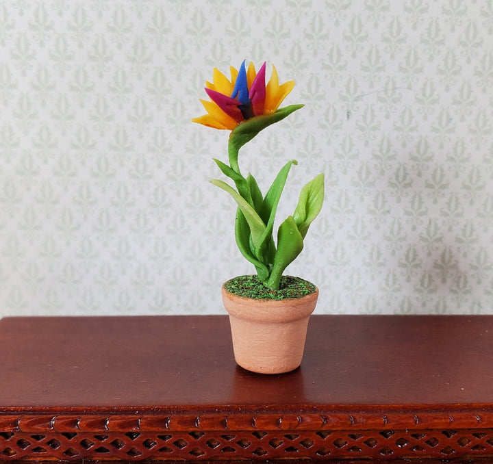 Dollhouse Red & Yellow Bird of Paradise in Terra Cotta Pot 1:12 Scale Miniature - MiniatureCrush