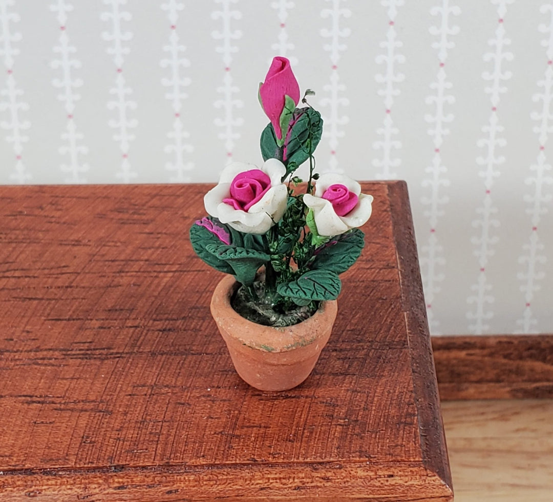 Dollhouse Roses White and Pink Flowers Potted in Terra Cotta Planter 1:12 Scale - MiniatureCrush