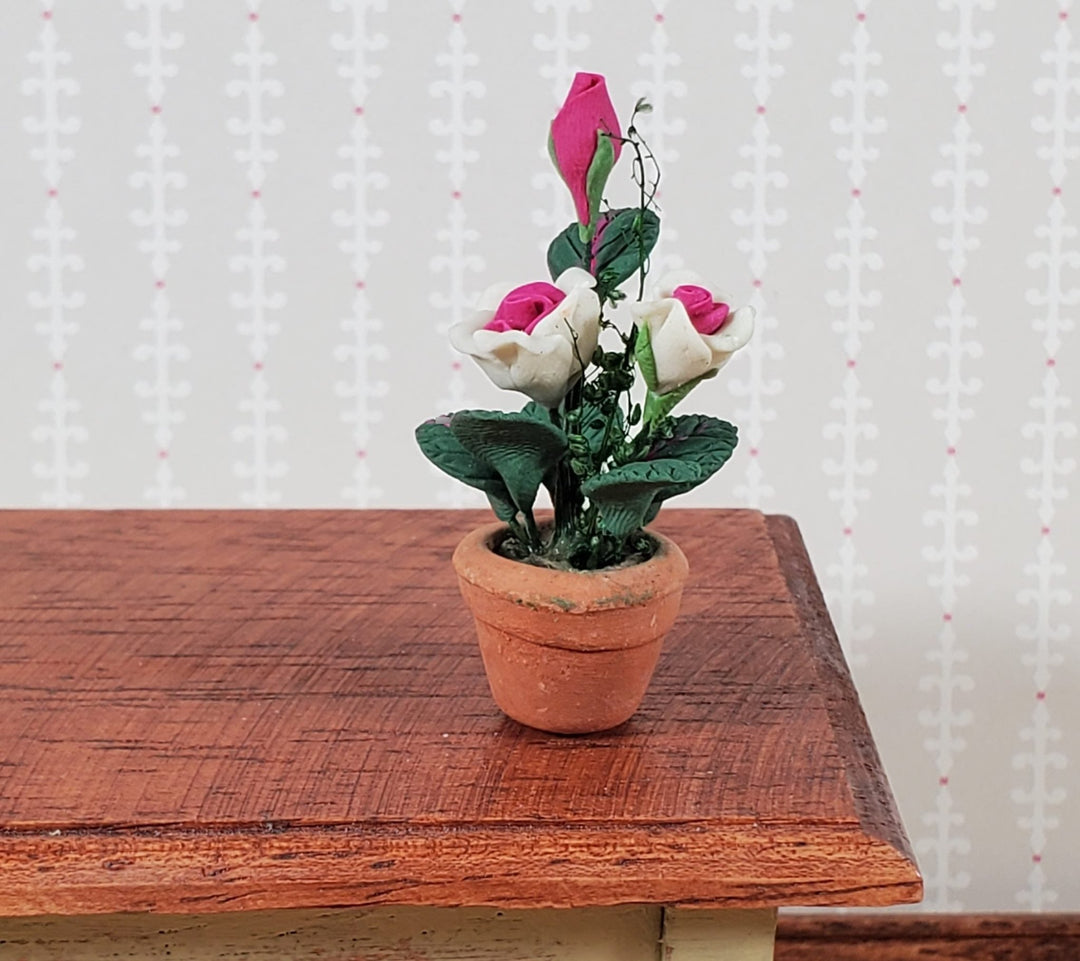 Dollhouse Roses White and Pink Flowers Potted in Terra Cotta Planter 1:12 Scale - Miniature Crush