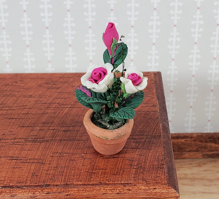 Dollhouse Roses White and Pink Flowers Potted in Terra Cotta Planter 1:12 Scale - Miniature Crush