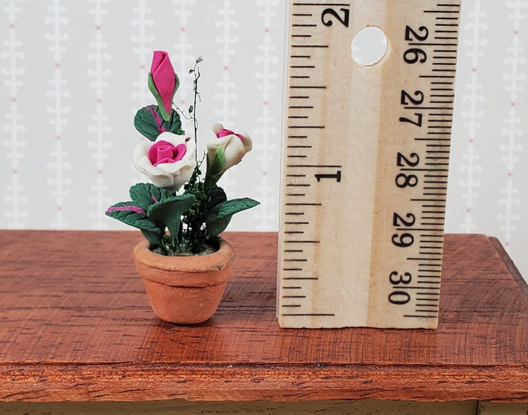 Dollhouse Roses White and Pink Flowers Potted in Terra Cotta Planter 1:12 Scale - Miniature Crush