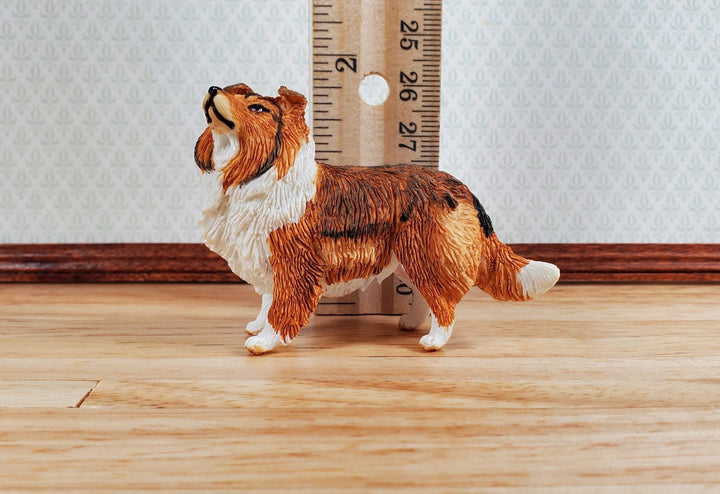 Dollhouse Sheltie Shetland Sheepdog Standing1:12 Scale Miniature Animal Pet - Miniature Crush