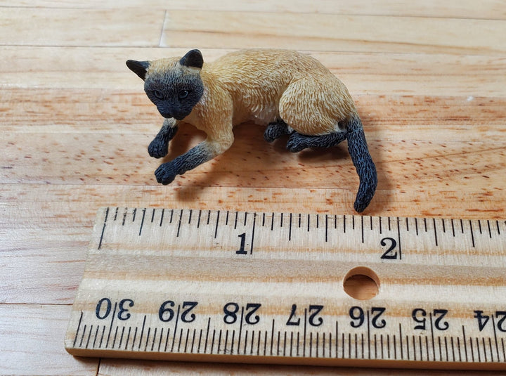 Dollhouse Siamese Cat Lying Down Head Up 1:12 Scale Miniature Pet - Miniature Crush