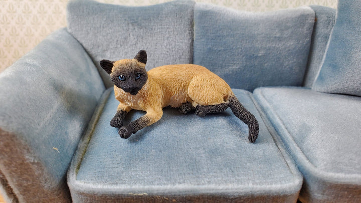 Dollhouse Siamese Cat Lying Down Head Up 1:12 Scale Miniature Pet - Miniature Crush