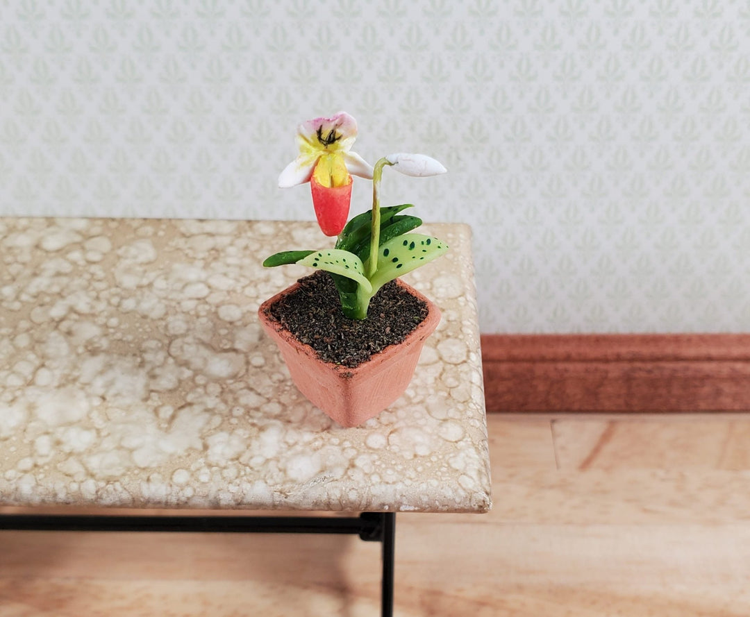Dollhouse Slipper Orchid Plant in Terra Cotta Planter 1:12 Scale Miniature - MiniatureCrush