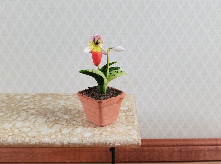 Dollhouse Slipper Orchid Plant in Terra Cotta Planter 1:12 Scale Miniature - MiniatureCrush