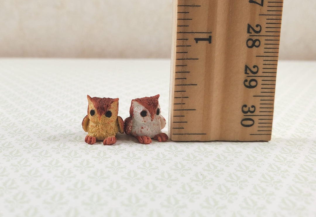 Dollhouse Small Owls Set of 2 1:12 Scale Miniature Pet Animals Accessories - MiniatureCrush