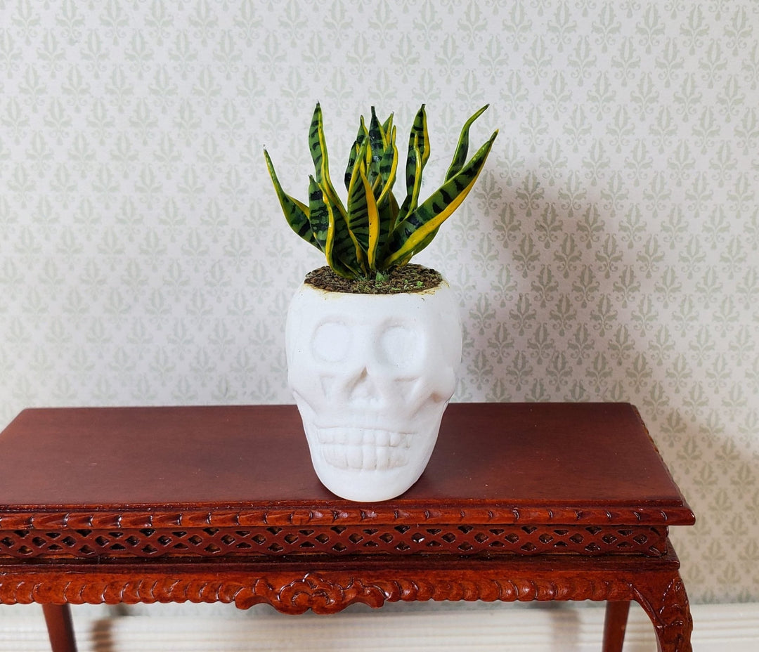Dollhouse Snake Plant in a Large White Skull Planter Pot 1:12 Scale Halloween - MiniatureCrush