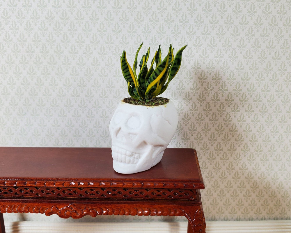 Dollhouse Snake Plant in a Large White Skull Planter Pot 1:12 Scale Halloween - MiniatureCrush