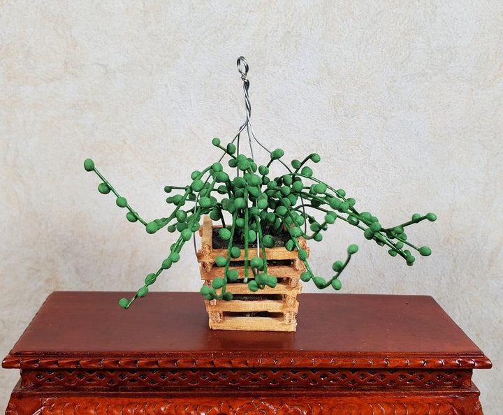 Dollhouse String of Pearls in Wood Hanging Planter 1:12 Scale Miniature Flowers - MiniatureCrush