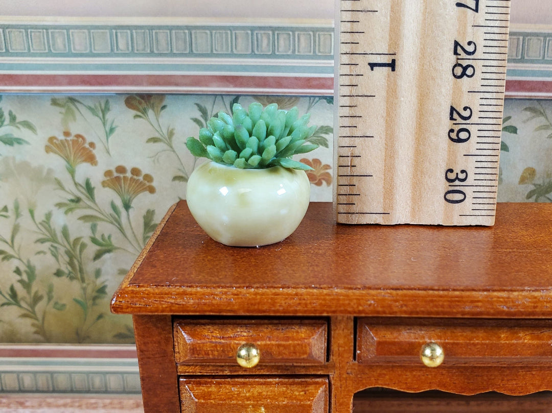 Dollhouse Succulent Plant in a Ceramic Planter 1:12 Scale Miniature Prop - MiniatureCrush