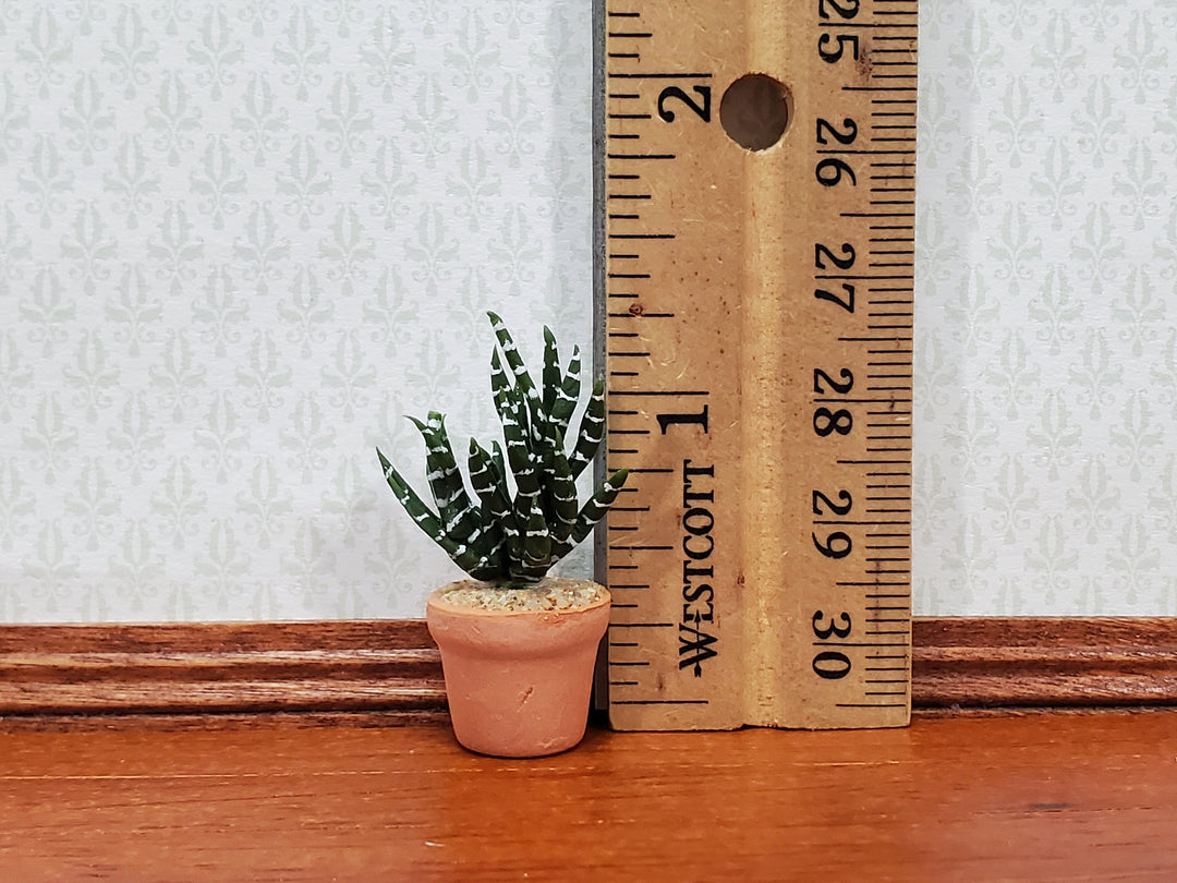 Dollhouse Succulent Zebra Plant in a Terra Cotta Planter 1:12 Scale Miniature - MiniatureCrush