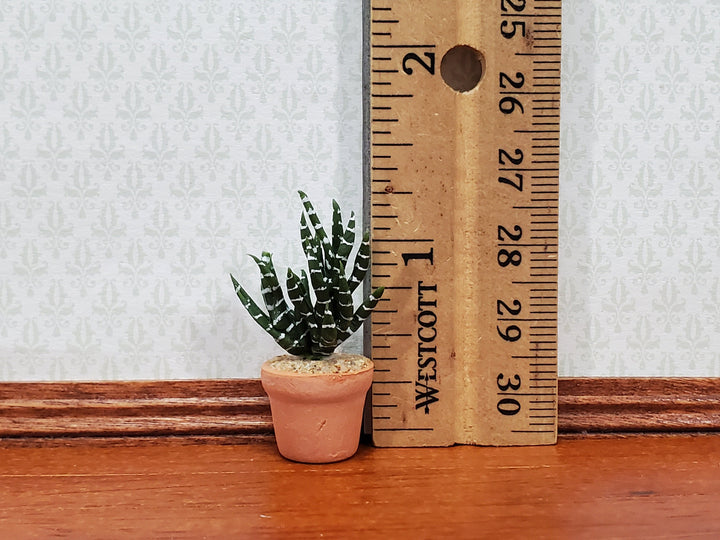 Dollhouse Succulent Zebra Plant in a Terra Cotta Planter 1:12 Scale Miniature - MiniatureCrush