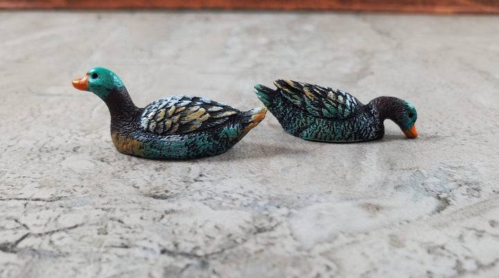 Dollhouse Swimming Ducks Set of 2 1:12 Scale Miniature Pet Green Heads - Miniature Crush