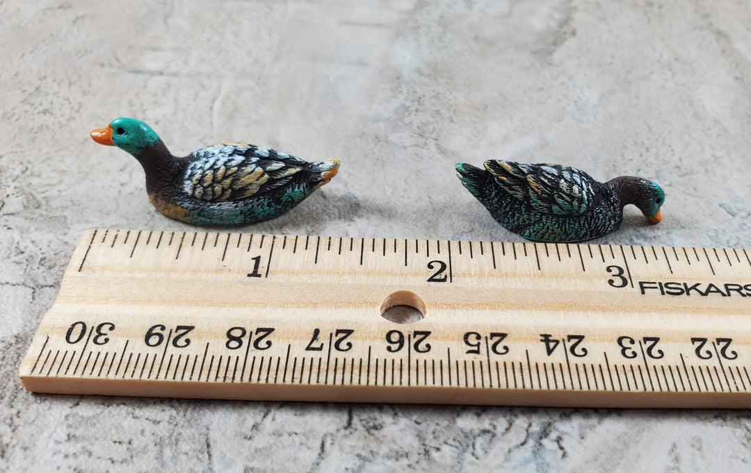 Dollhouse Swimming Ducks Set of 2 1:12 Scale Miniature Pet Green Heads - Miniature Crush