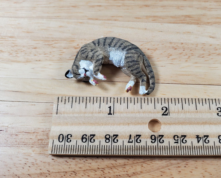 Dollhouse Tabby Cat Lying Down Brown Striped 1:12 Scale Miniature Pet Kitty - Miniature Crush