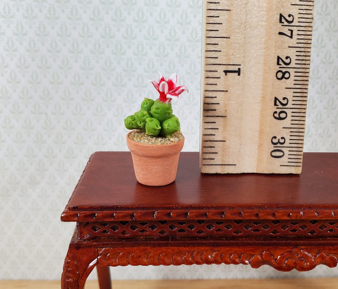 Dollhouse Tall Flowering Cactus Plant in a Terra Cotta Pot 1:12 Scale Miniature - MiniatureCrush