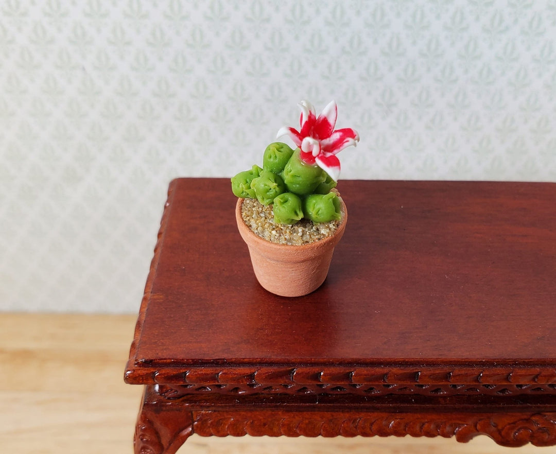 Dollhouse Tall Flowering Cactus Plant in a Terra Cotta Pot 1:12 Scale Miniature - MiniatureCrush