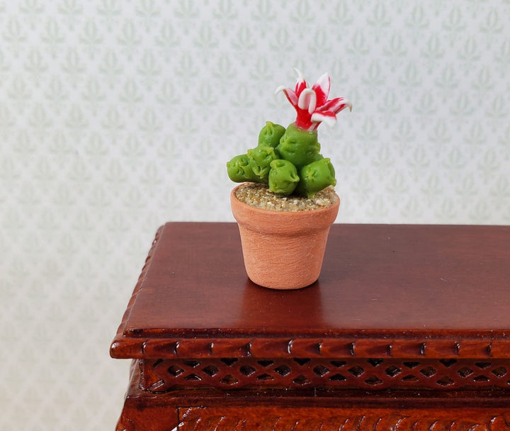 Dollhouse Tall Flowering Cactus Plant in a Terra Cotta Pot 1:12 Scale Miniature - MiniatureCrush