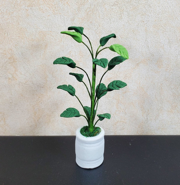 Dollhouse Tall Potted Medium Leaf Palm in a White Clay Pot 1:12 Scale Miniature - MiniatureCrush