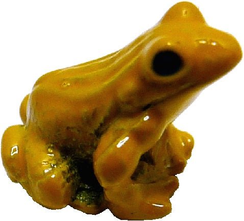 Dollhouse Tiny Golden Frog Fairy Garden Accessory Diorama Animals Pets - MiniatureCrush