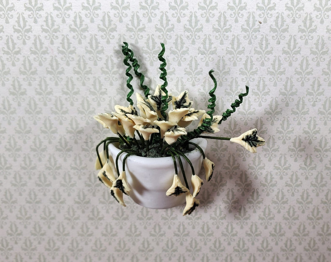 Dollhouse Variegated English Ivy in White Ceramic Wall Planter 1:12 Scale - MiniatureCrush