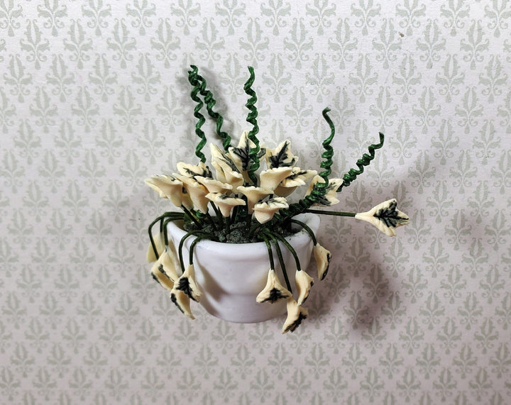 Dollhouse Variegated English Ivy in White Ceramic Wall Planter 1:12 Scale - MiniatureCrush