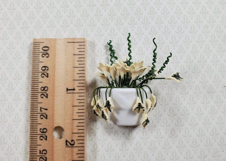 Dollhouse Variegated English Ivy in White Ceramic Wall Planter 1:12 Scale - MiniatureCrush