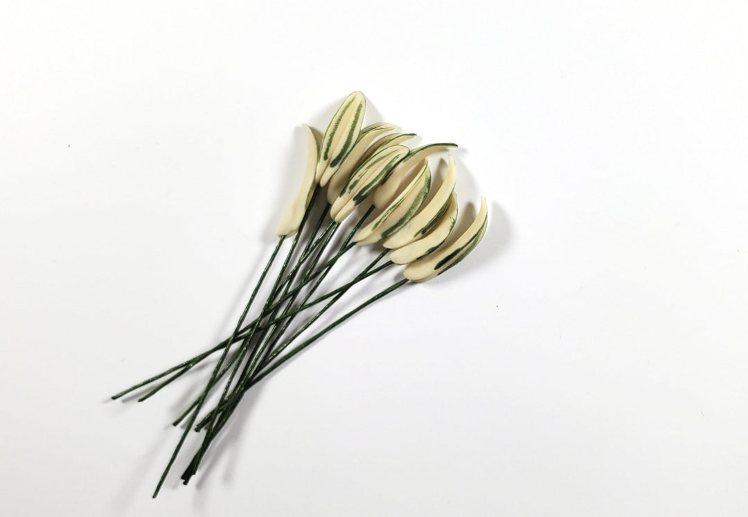 Dollhouse Variegated Green Leaves Long Stem Set of 10 1:12 Scale Miniature - MiniatureCrush