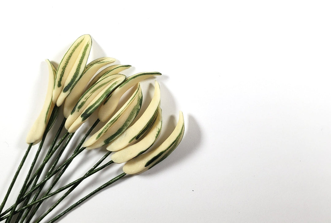 Dollhouse Variegated Green Leaves Long Stem Set of 10 1:12 Scale Miniature - MiniatureCrush