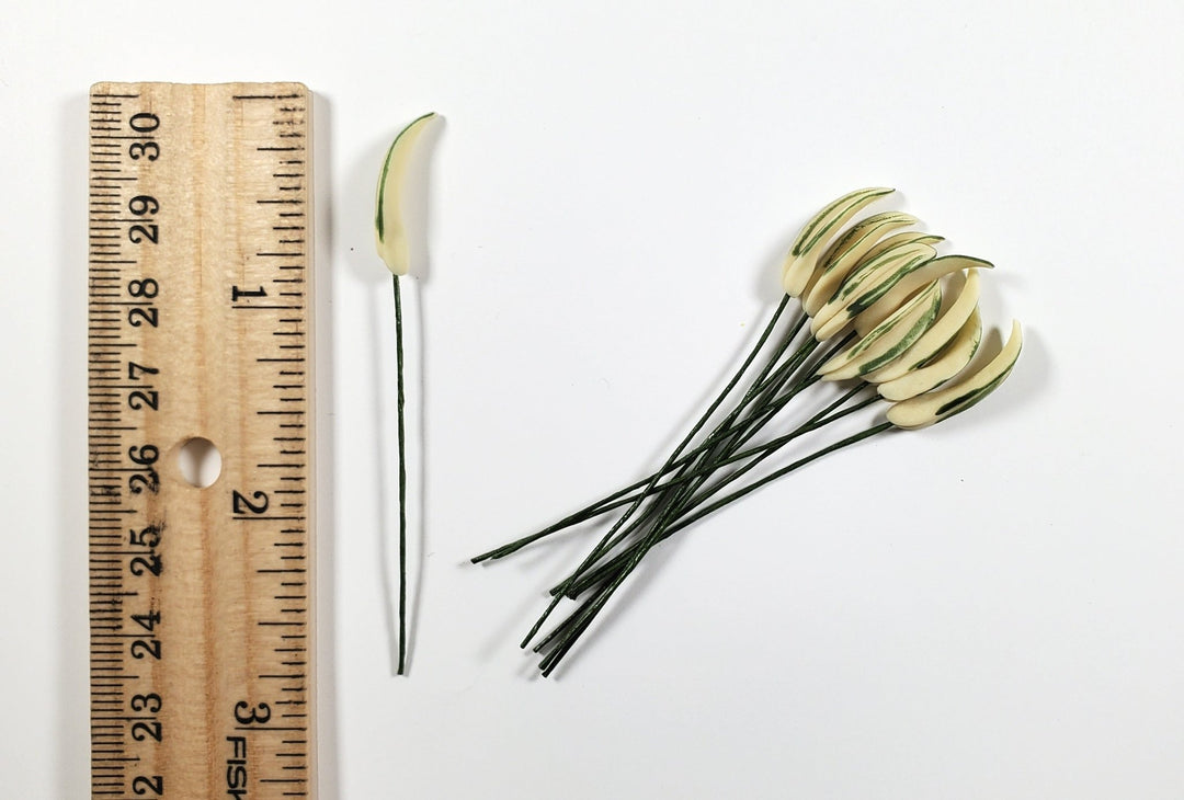 Dollhouse Variegated Green Leaves Long Stem Set of 10 1:12 Scale Miniature - MiniatureCrush