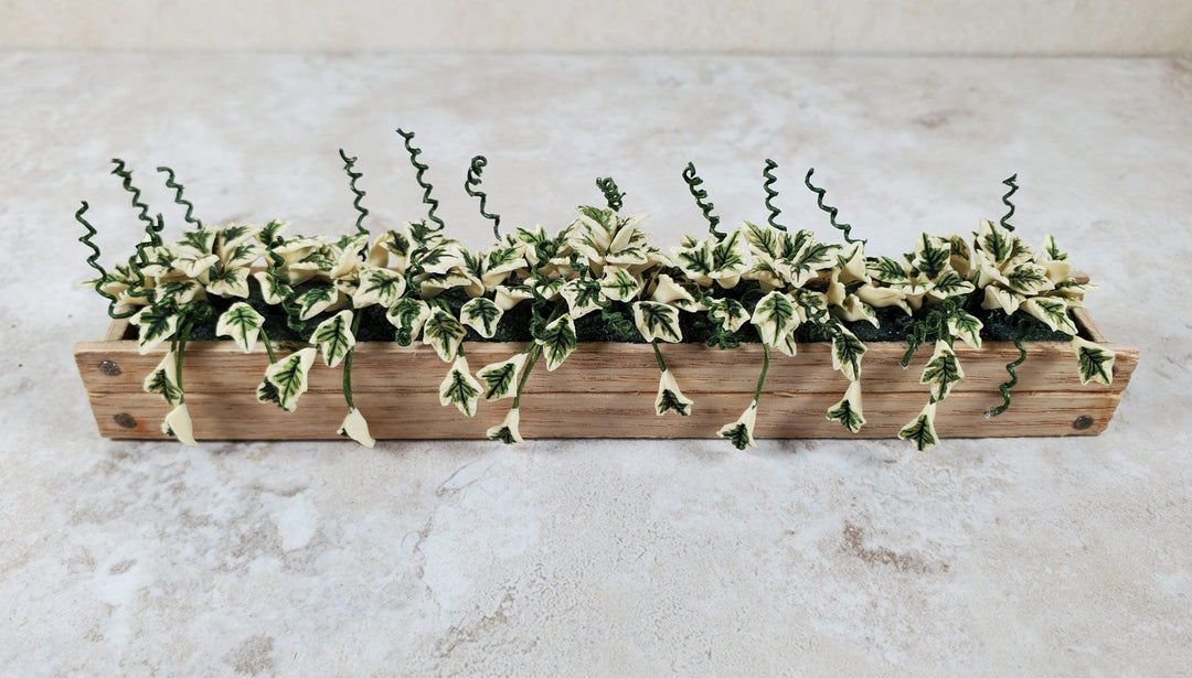 Dollhouse Variegated Ivy in 5.5" Wooden Window Box Planter 1:12 Scale Miniature - MiniatureCrush