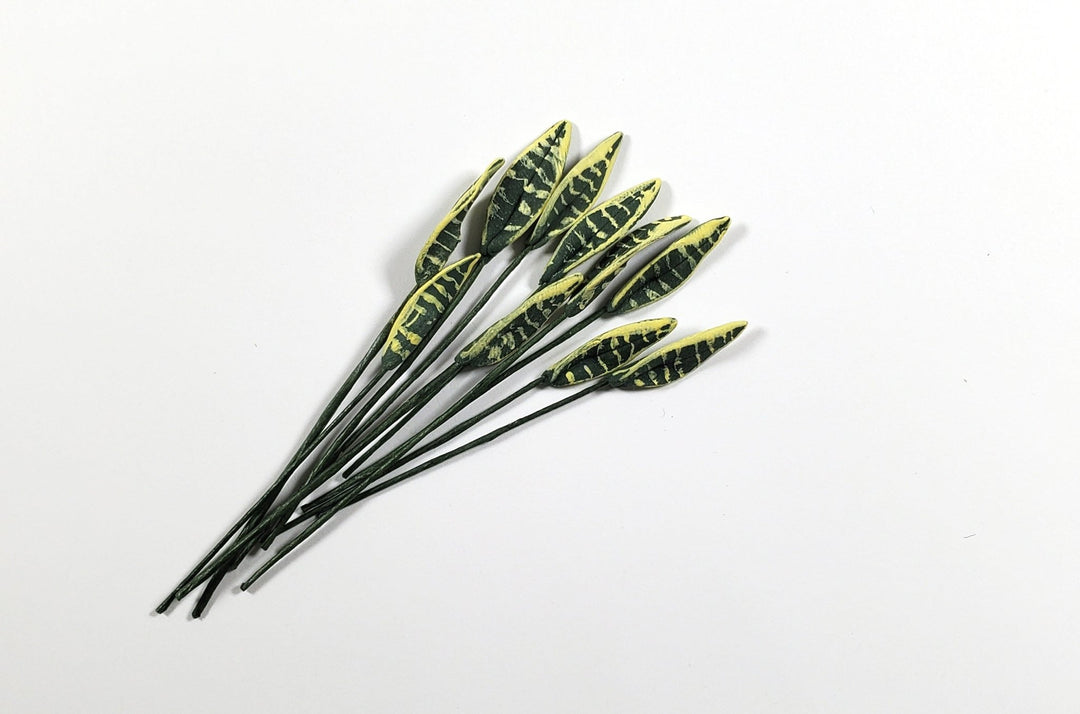 Dollhouse Variegated Snake Plant Leaves Long Stem Set of 10 1:12 Scale Miniature - MiniatureCrush