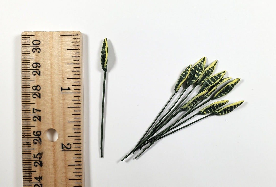 Dollhouse Variegated Snake Plant Leaves Long Stem Set of 10 1:12 Scale Miniature - MiniatureCrush