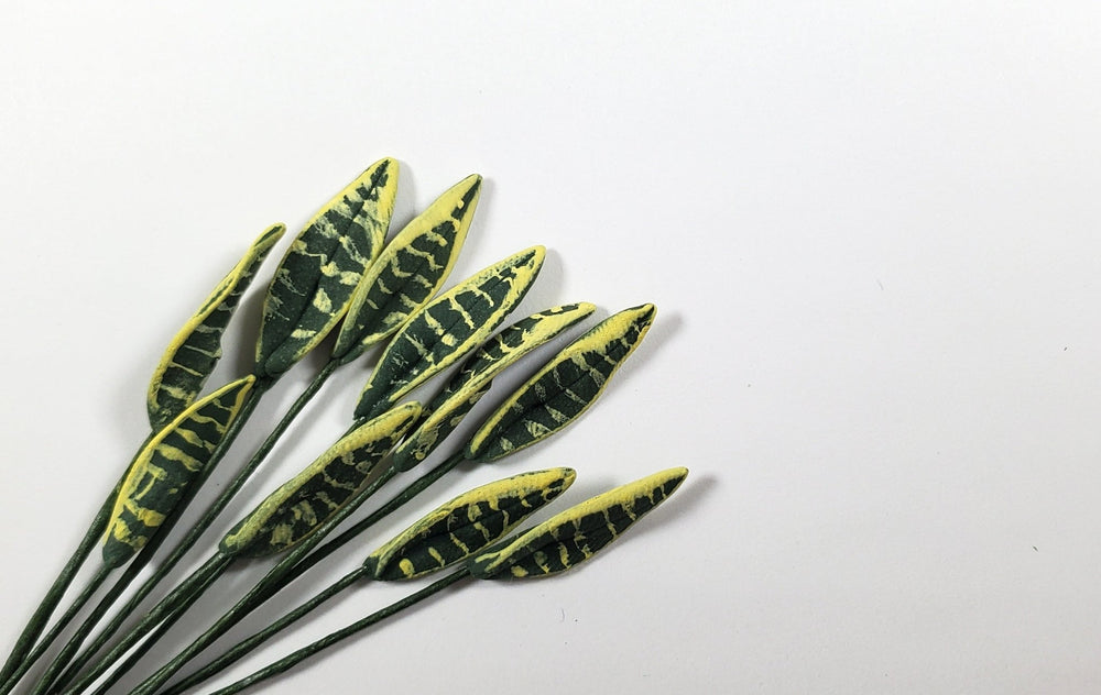 Dollhouse Variegated Snake Plant Leaves Long Stem Set of 10 1:12 Scale Miniature - MiniatureCrush