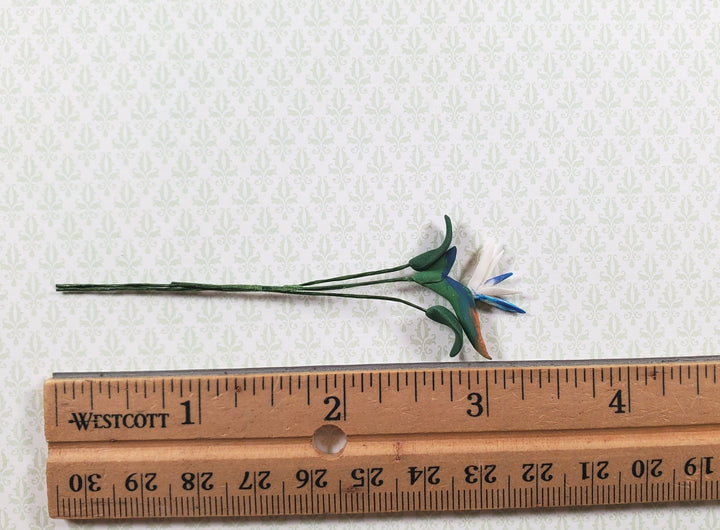 Dollhouse White Bird of Paradise Single Stem with Foliage 1:12 Scale Miniature - MiniatureCrush