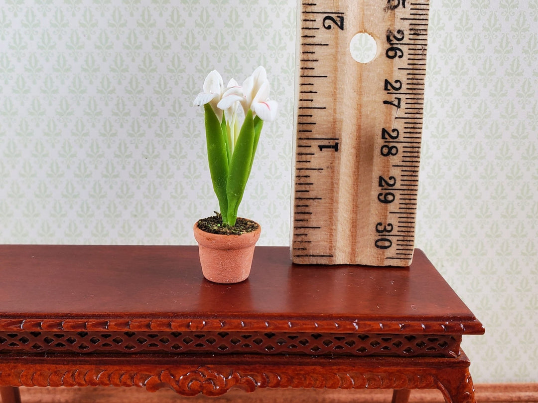 Dollhouse White Irises Plant in Terra Cotta Planter 1:12 Scale Miniature Garden - MiniatureCrush