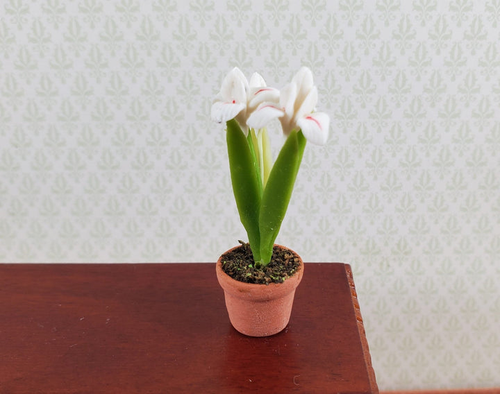 Dollhouse White Irises Plant in Terra Cotta Planter 1:12 Scale Miniature Garden - MiniatureCrush