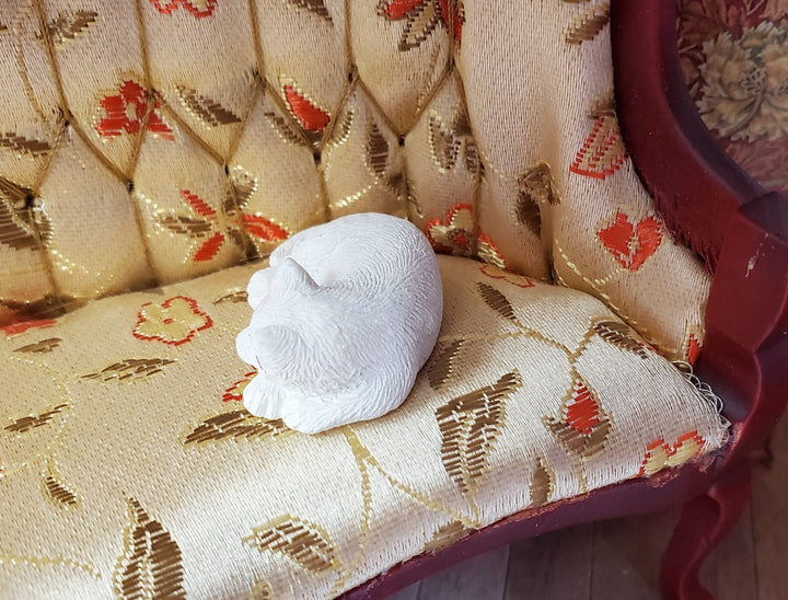 Dollhouse White Kitty Cat Sleeping Curled Up 1:12 Scale Miniature Pet - Miniature Crush